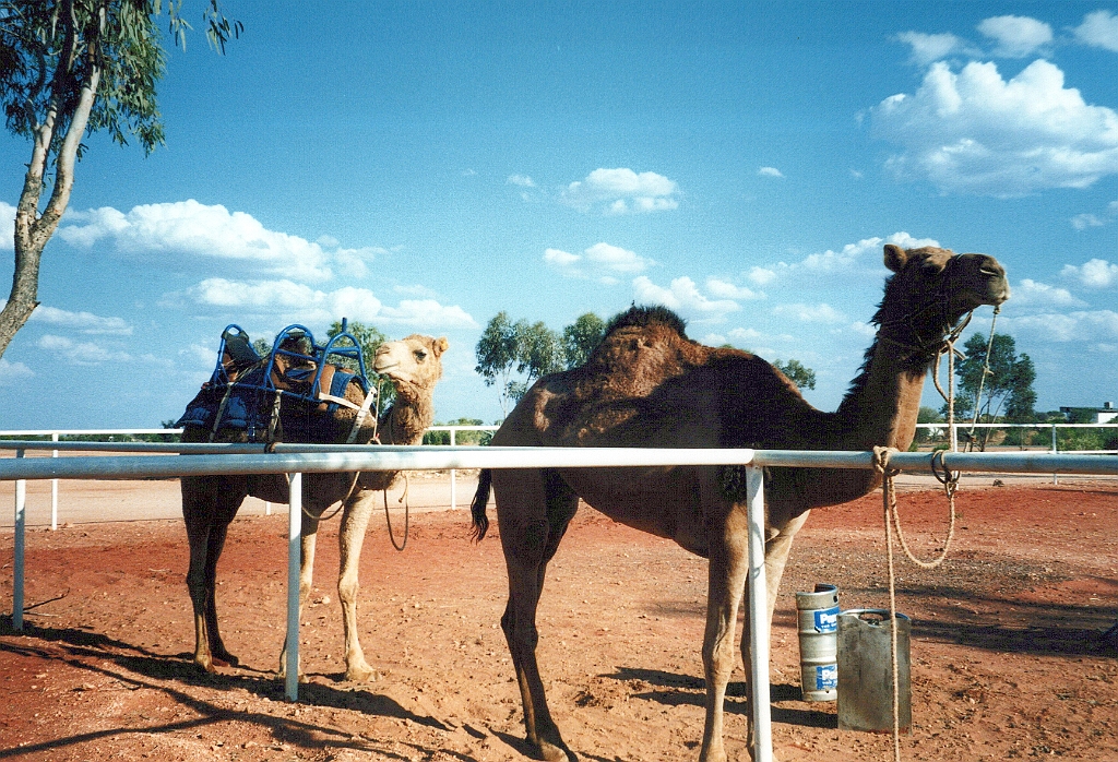 2000 - Australie 201T.jpg